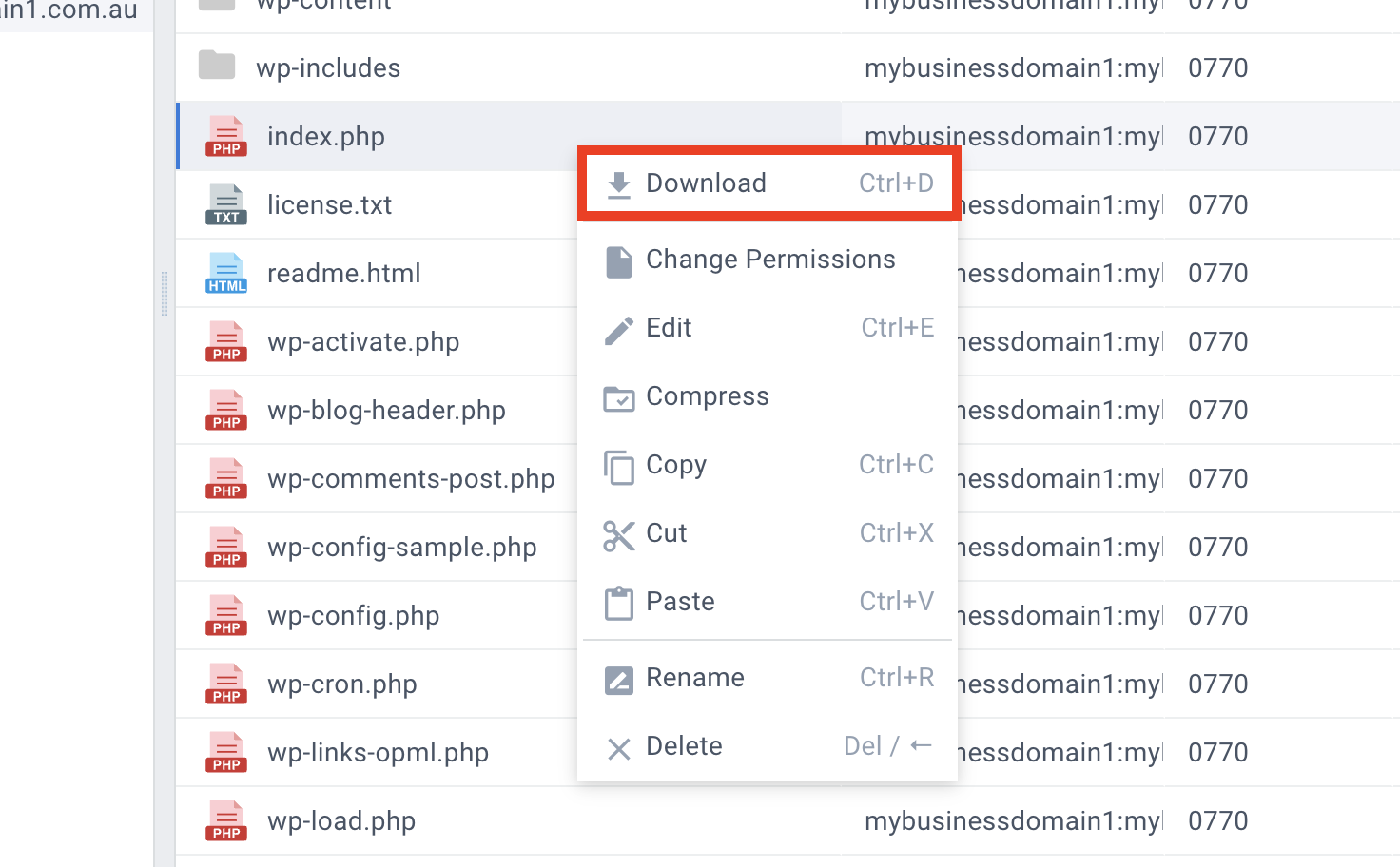manage website files and folders: Download button for CloudPanel file manager