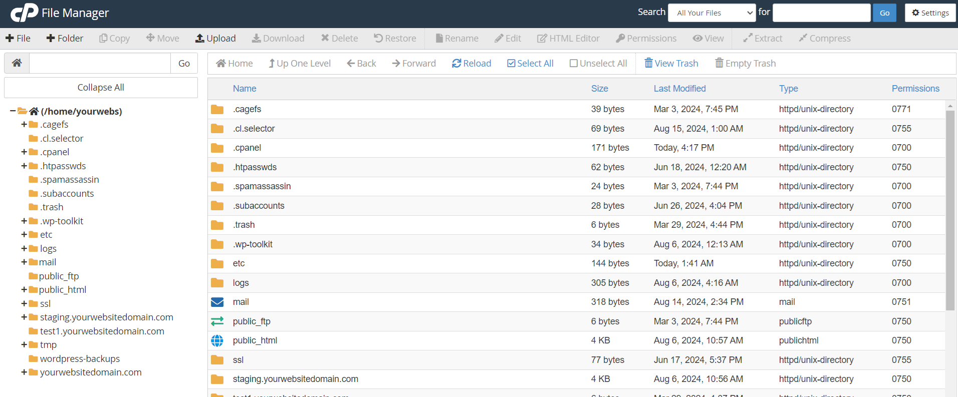 manage website files and folders using cPanel File Manager