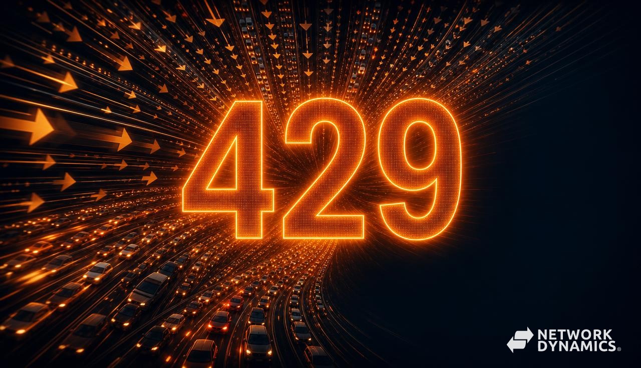 What Is a 429 Too Many Requests Error? Causes and Fixes